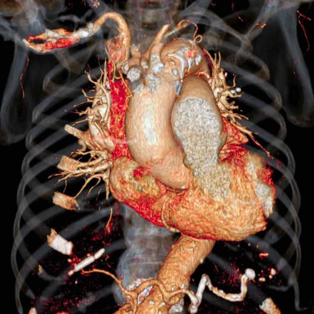https://podologosmda.com/wp-content/uploads/2021/08/inner_image_03.jpg
