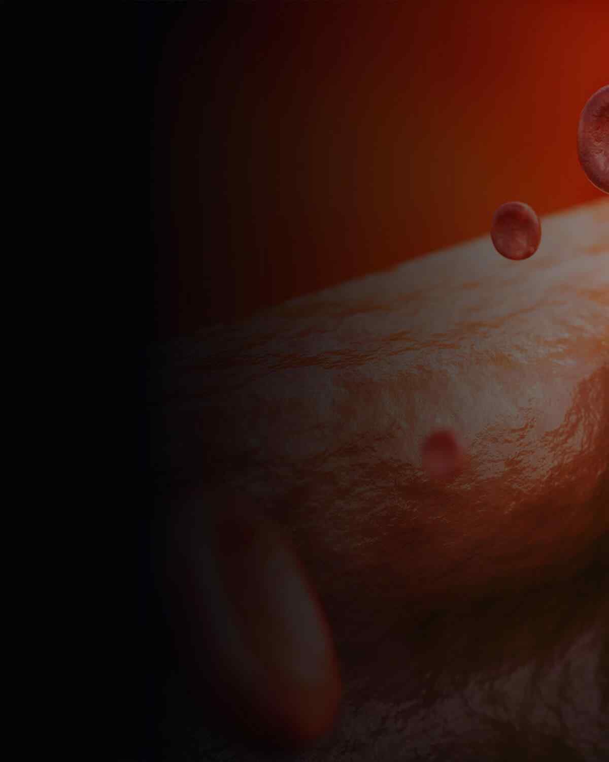 https://podologosmda.com/wp-content/uploads/2021/08/interactive_image_left.jpg