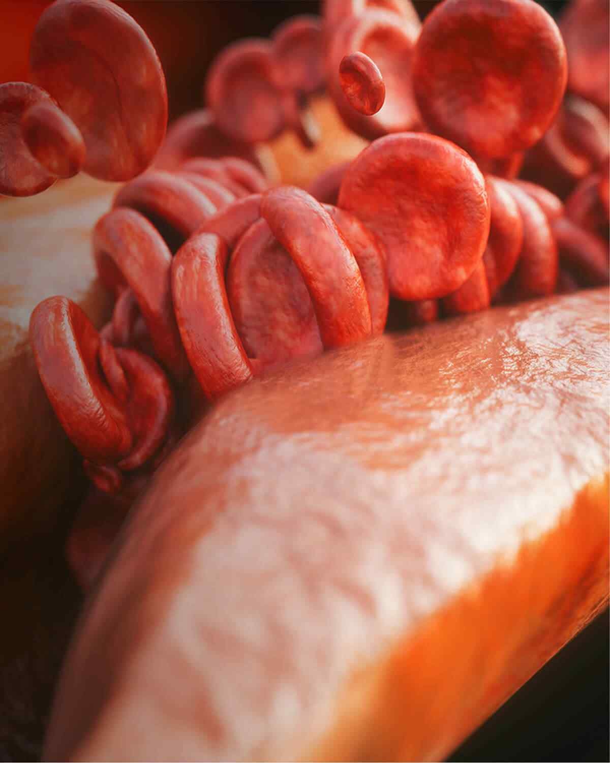 https://podologosmda.com/wp-content/uploads/2021/08/interactive_image_right.jpg